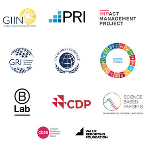 Impact Strategy Design & Development